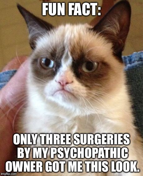Grumpy Cat Meme | FUN FACT: ONLY THREE SURGERIES BY MY PSYCHOPATHIC OWNER GOT ME THIS LOOK. | image tagged in memes,grumpy cat | made w/ Imgflip meme maker