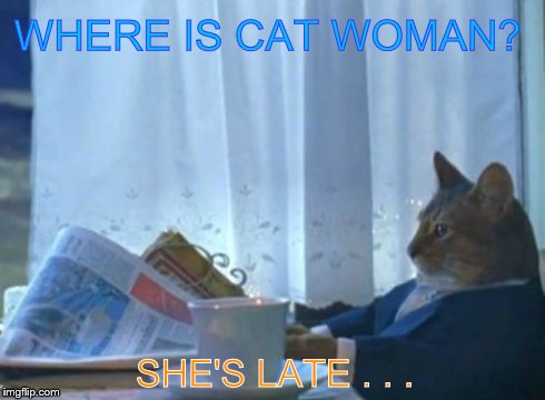 I Should Buy A Boat Cat Meme | WHERE IS CAT WOMAN? SHE'S LATE . . . | image tagged in memes,i should buy a boat cat | made w/ Imgflip meme maker