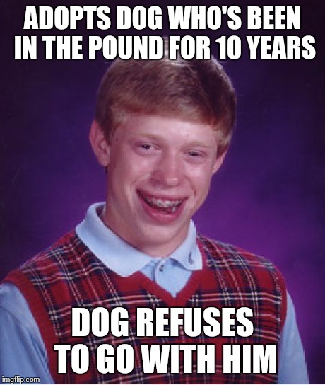 Bad Luck Brian Meme | ADOPTS DOG WHO'S BEEN IN THE POUND FOR 10 YEARS DOG REFUSES TO GO WITH HIM | image tagged in memes,bad luck brian | made w/ Imgflip meme maker