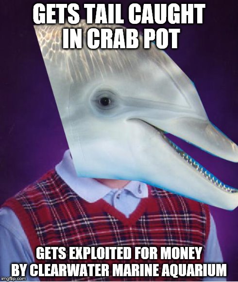 GETS TAIL CAUGHT IN CRAB POT GETS EXPLOITED FOR MONEY BY CLEARWATER MARINE AQUARIUM | image tagged in bad luck brian,bad luck winter | made w/ Imgflip meme maker