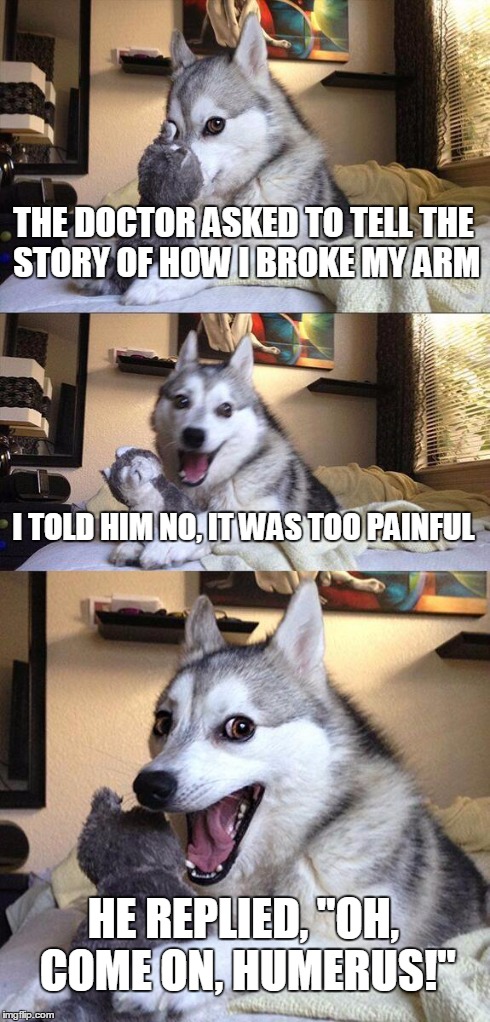 2 puns in one = double the fun | THE DOCTOR ASKED TO TELL THE STORY OF HOW I BROKE MY ARM I TOLD HIM NO, IT WAS TOO PAINFUL HE REPLIED, "OH, COME ON, HUMERUS!" | image tagged in memes,bad pun dog | made w/ Imgflip meme maker