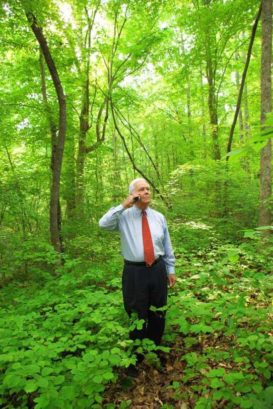 High Quality Lost in the Woods Blank Meme Template