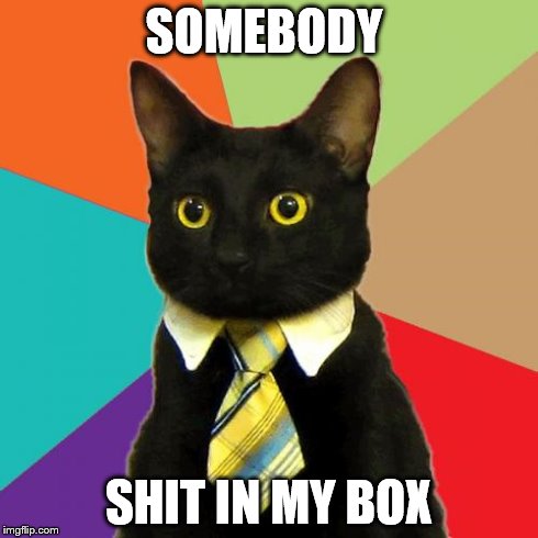 Business Cat Meme | SOMEBODY SHIT IN MY BOX | image tagged in memes,business cat | made w/ Imgflip meme maker