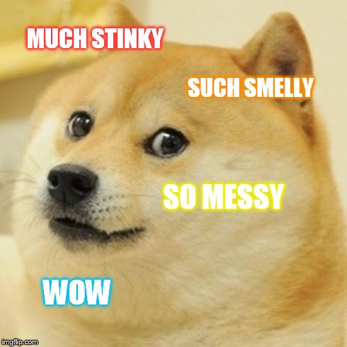 Doge Meme | MUCH STINKY SUCH SMELLY SO MESSY WOW | image tagged in memes,doge | made w/ Imgflip meme maker