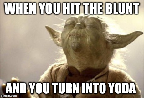 IN 2013 YODA BE LIKE | WHEN YOU HIT THE BLUNT AND YOU TURN INTO YODA | image tagged in in 2013 yoda be like | made w/ Imgflip meme maker