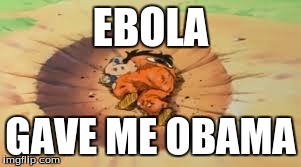 That Comment DBZ | EBOLA GAVE ME OBAMA | image tagged in that comment dbz | made w/ Imgflip meme maker
