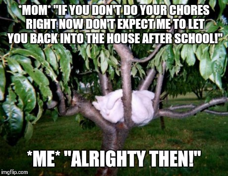FUCK YO COUCH | *MOM* "IF YOU DON'T DO YOUR CHORES RIGHT NOW DON'T EXPECT ME TO LET YOU BACK INTO THE HOUSE AFTER SCHOOL!" *ME* "ALRIGHTY THEN!" | image tagged in fuck yo couch | made w/ Imgflip meme maker
