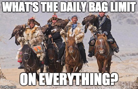 WHAT'S THE DAILY BAG LIMIT ON EVERYTHING? | image tagged in hunting,falconry,goldeneagle,eagle,nomads | made w/ Imgflip meme maker