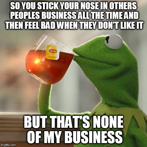 other peoples business | SO YOU STICK YOUR NOSE IN OTHERS PEOPLES BUSINESS ALL THE TIME AND THEN FEEL BAD WHEN THEY DON'T LIKE IT BUT THAT'S NONE OF MY BUSINESS | image tagged in memes,but thats none of my business,kermit the frog | made w/ Imgflip meme maker