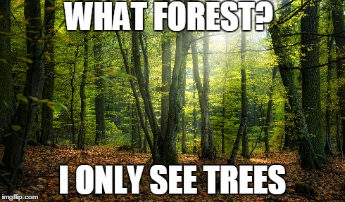 Lost in the details | WHAT FOREST? I ONLY SEE TREES | image tagged in demotivationals | made w/ Imgflip meme maker
