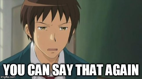 Kyon WTF | YOU CAN SAY THAT AGAIN | image tagged in kyon wtf | made w/ Imgflip meme maker