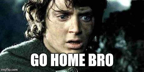 GO HOME BRO | image tagged in frodo | made w/ Imgflip meme maker