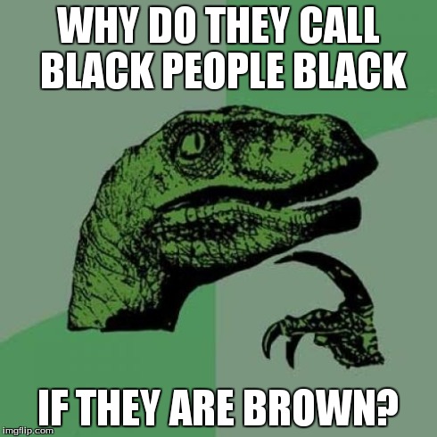 Philosoraptor Meme | WHY DO THEY CALL BLACK PEOPLE BLACK IF THEY ARE BROWN? | image tagged in memes,philosoraptor | made w/ Imgflip meme maker