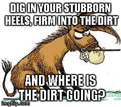 dig in your heels | DIG IN YOUR STUBBORN HEELS, FIRM INTO THE DIRT AND WHERE IS THE DIRT GOING? | image tagged in dig in your heels | made w/ Imgflip meme maker