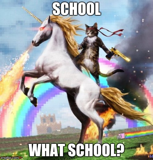 Welcome To The Internets Meme | SCHOOL WHAT SCHOOL? | image tagged in memes,welcome to the internets | made w/ Imgflip meme maker