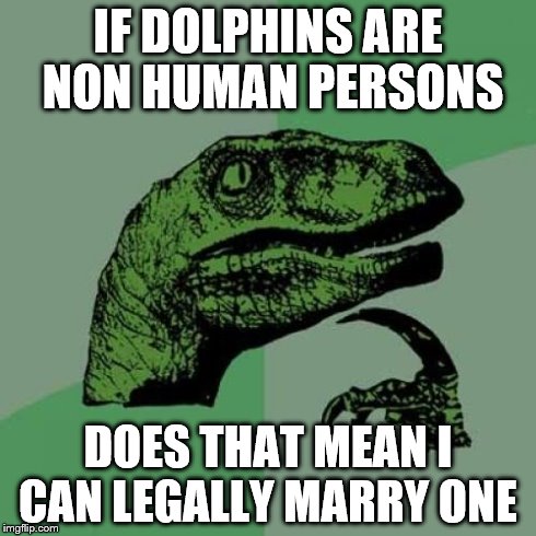 Philosoraptor | IF DOLPHINS ARE NON HUMAN PERSONS DOES THAT MEAN I CAN LEGALLY MARRY ONE | image tagged in memes,philosoraptor | made w/ Imgflip meme maker