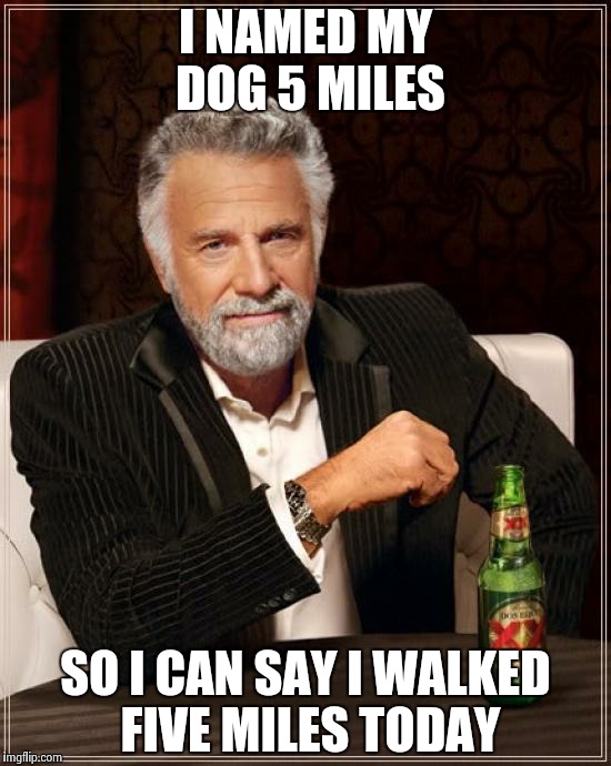 The Most Interesting Man In The World | I NAMED MY DOG 5 MILES SO I CAN SAY I WALKED FIVE MILES TODAY | image tagged in memes,the most interesting man in the world | made w/ Imgflip meme maker
