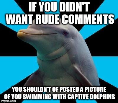 Dolphin | IF YOU DIDN'T WANT RUDE COMMENTS YOU SHOULDN'T OF POSTED A PICTURE OF YOU SWIMMING WITH CAPTIVE DOLPHINS | image tagged in dolphin | made w/ Imgflip meme maker