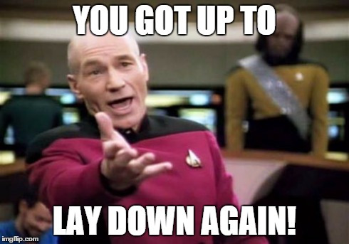 My dog is confusing me
 | YOU GOT UP TO LAY DOWN AGAIN! | image tagged in memes,picard wtf | made w/ Imgflip meme maker