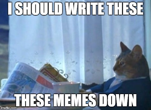 I SHOULD WRITE THESE THESE MEMES DOWN | image tagged in memes,i should buy a boat cat | made w/ Imgflip meme maker