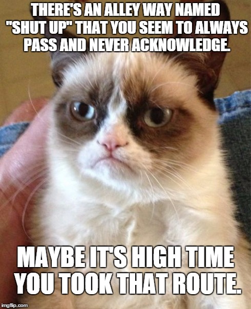 Hold on, your story interests me *holds back vomit* Ok, go on. | THERE'S AN ALLEY WAY NAMED "SHUT UP" THAT YOU SEEM TO ALWAYS PASS AND NEVER ACKNOWLEDGE. MAYBE IT'S HIGH TIME YOU TOOK THAT ROUTE. | image tagged in memes,grumpy cat | made w/ Imgflip meme maker