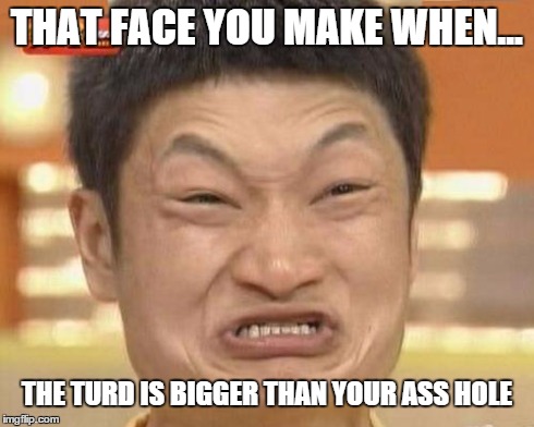 Impossibru Guy Original Meme | THAT FACE YOU MAKE WHEN... THE TURD IS BIGGER THAN YOUR ASS HOLE | image tagged in memes,impossibru guy original | made w/ Imgflip meme maker