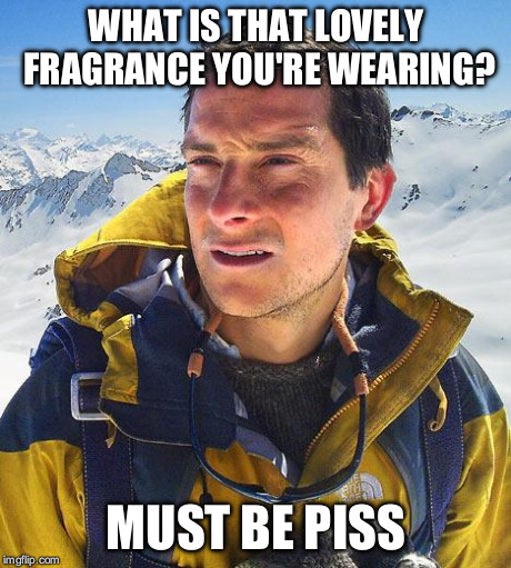Bear Grylls | WHAT IS THAT LOVELY FRAGRANCE YOU'RE WEARING? MUST BE PISS | image tagged in memes,bear grylls | made w/ Imgflip meme maker