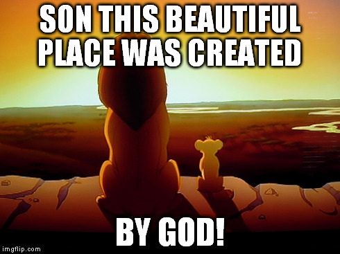 Lion King Meme | SON THIS BEAUTIFUL PLACE WAS CREATED BY GOD! | image tagged in memes,lion king | made w/ Imgflip meme maker