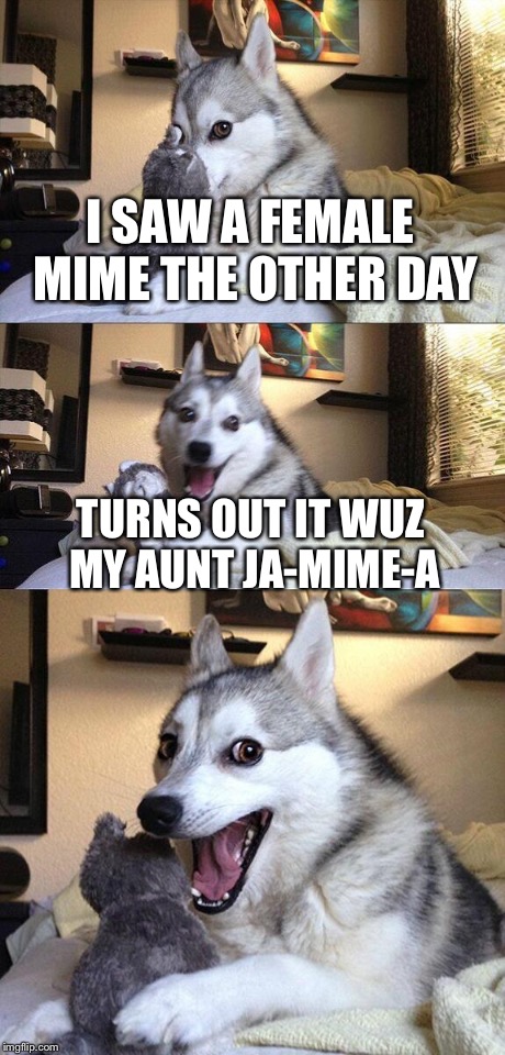 Bad Pun Dog Meme | I SAW A FEMALE MIME THE OTHER DAY TURNS OUT IT WUZ MY AUNT JA-MIME-A | image tagged in memes,bad pun dog | made w/ Imgflip meme maker