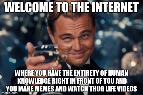 Leonardo Dicaprio Cheers Meme | WELCOME TO THE INTERNET WHERE YOU HAVE THE ENTIRETY OF HUMAN KNOWLEDGE RIGHT IN FRONT OF YOU AND YOU MAKE MEMES AND WATCH THUG LIFE VIDEOS | image tagged in memes,leonardo dicaprio cheers | made w/ Imgflip meme maker