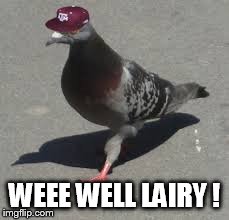 wee well lairy  | WEEE WELL LAIRY ! | image tagged in pigeon | made w/ Imgflip meme maker