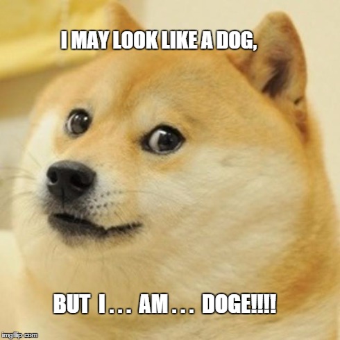 Doge | I MAY LOOK LIKE A DOG, BUT  I . . .  AM . . .  DOGE!!!! | image tagged in memes,doge | made w/ Imgflip meme maker