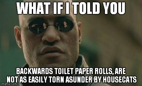 Matrix Morpheus Meme | WHAT IF I TOLD YOU BACKWARDS TOILET PAPER ROLLS, ARE NOT AS EASILY TORN ASUNDER BY HOUSECATS | image tagged in memes,matrix morpheus | made w/ Imgflip meme maker