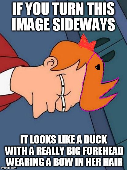 I was staring at this picture and I realized this...has anyone else? | IF YOU TURN THIS IMAGE SIDEWAYS IT LOOKS LIKE A DUCK WITH A REALLY BIG FOREHEAD WEARING A BOW IN HER HAIR | image tagged in memes,futurama fry | made w/ Imgflip meme maker