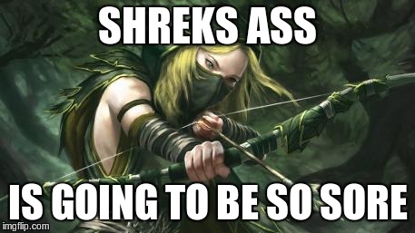 No one knows who shot that arrow. | SHREKS ASS IS GOING TO BE SO SORE | image tagged in warhammer dont move,memes,shrek,archer,arrow,warhammer | made w/ Imgflip meme maker