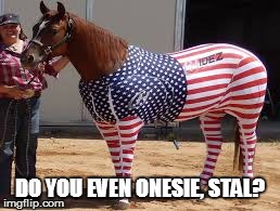 other horses be like | DO YOU EVEN ONESIE, STAL? | image tagged in do you even,'murica,horse onesie | made w/ Imgflip meme maker