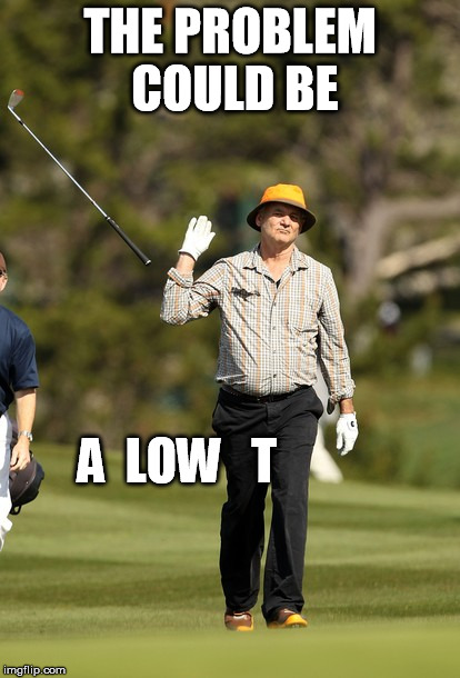 Bill Murray Golf Meme | THE PROBLEM COULD BE A  LOW   T | image tagged in memes,bill murray golf | made w/ Imgflip meme maker