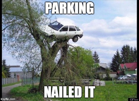 Secure Parking | PARKING NAILED IT | image tagged in memes,secure parking | made w/ Imgflip meme maker