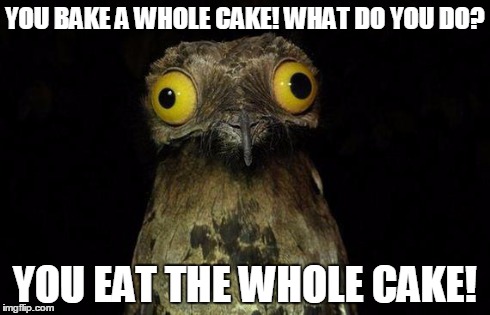 Weird Stuff I Do Potoo | YOU BAKE A WHOLE CAKE! WHAT DO YOU DO? YOU EAT THE WHOLE CAKE! | image tagged in memes,weird stuff i do potoo | made w/ Imgflip meme maker