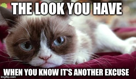 THE LOOK YOU HAVE WHEN YOU KNOW IT'S ANOTHER EXCUSE | image tagged in grumpy cat | made w/ Imgflip meme maker