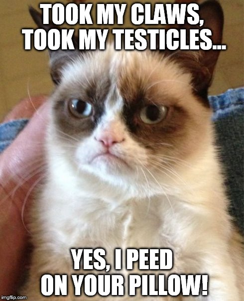 Grumpy Cat | TOOK MY CLAWS, TOOK MY TESTICLES... YES, I PEED ON YOUR PILLOW! | image tagged in memes,grumpy cat | made w/ Imgflip meme maker