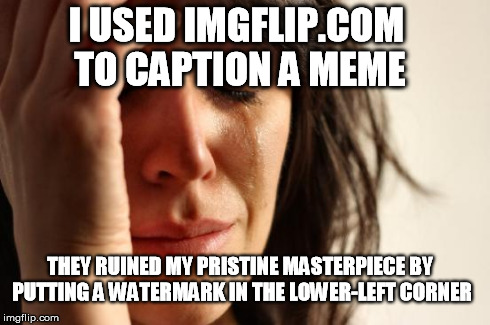 First World Problems - Logos on Memes | I USED IMGFLIP.COM TO CAPTION A MEME THEY RUINED MY PRISTINE MASTERPIECE BY PUTTING A WATERMARK IN THE LOWER-LEFT CORNER | image tagged in memes,first world problems | made w/ Imgflip meme maker