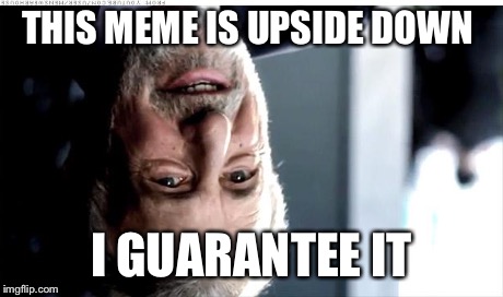 I Guarantee It Meme | THIS MEME IS UPSIDE DOWN I GUARANTEE IT | image tagged in memes,i guarantee it | made w/ Imgflip meme maker