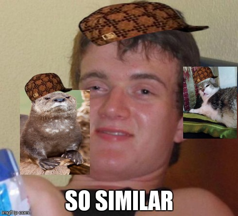 10 Guy | SO SIMILAR | image tagged in memes,10 guy,scumbag | made w/ Imgflip meme maker