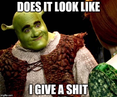 I give no shits. | DOES IT LOOK LIKE I GIVE A SHIT | image tagged in shrek | made w/ Imgflip meme maker