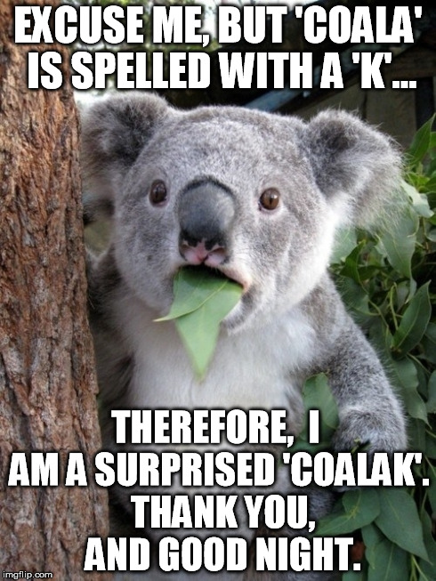 Surprised Koala Meme | EXCUSE ME, BUT 'COALA' IS SPELLED WITH A 'K'... THEREFORE,  I AM A SURPRISED 'COALAK'.  THANK YOU,  AND GOOD NIGHT. | image tagged in memes,surprised coala | made w/ Imgflip meme maker