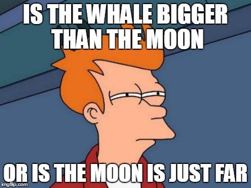 Futurama Fry | IS THE WHALE BIGGER THAN THE MOON OR IS THE MOON IS JUST FAR | image tagged in memes,futurama fry | made w/ Imgflip meme maker