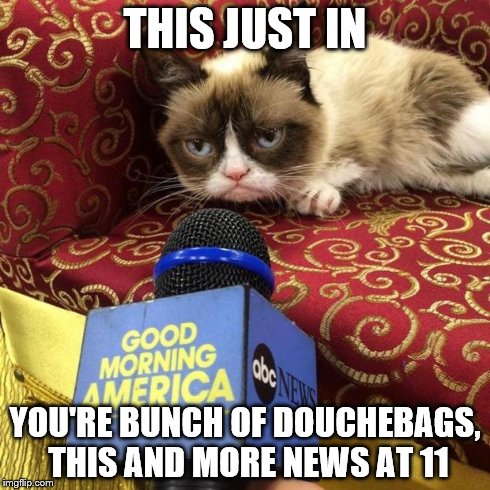 grumpy cat news | THIS JUST IN YOU'RE BUNCH OF DOUCHEBAGS, THIS AND MORE NEWS AT 11 | image tagged in grumpy cat news | made w/ Imgflip meme maker