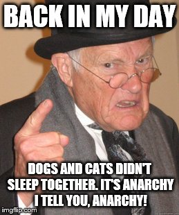 Back In My Day Meme | BACK IN MY DAY DOGS AND CATS DIDN'T SLEEP TOGETHER. IT'S ANARCHY I TELL YOU, ANARCHY! | image tagged in memes,back in my day | made w/ Imgflip meme maker