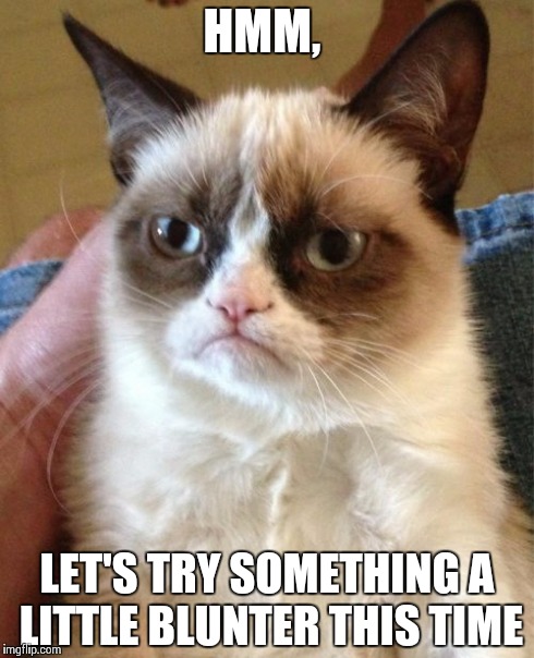 Grumpy Cat Meme | HMM, LET'S TRY SOMETHING A LITTLE BLUNTER THIS TIME | image tagged in memes,grumpy cat | made w/ Imgflip meme maker